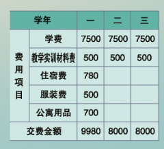 平度揚帆職業學校學費