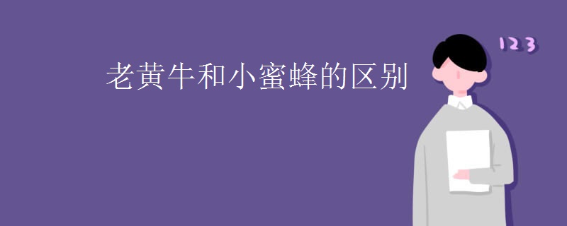 老黃牛和小蜜蜂的區別