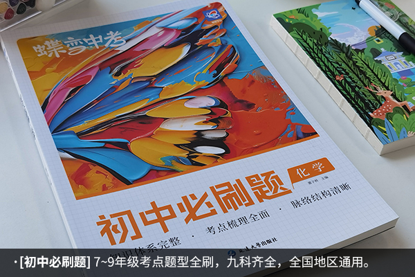 上海初三化学辅导书推荐 初中化学最好的刷题书