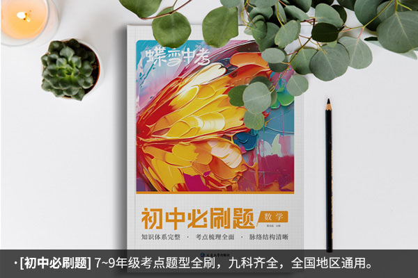 上海初中数学教辅书推荐 数学最好的刷题书