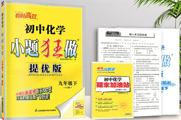 初三沖刺重點(diǎn)高中資料書推薦 用什么好